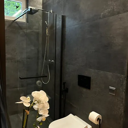 Leo & Private Zone - Old アパート