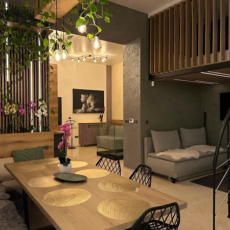 Leo & Private Zone - Old Lejlighed