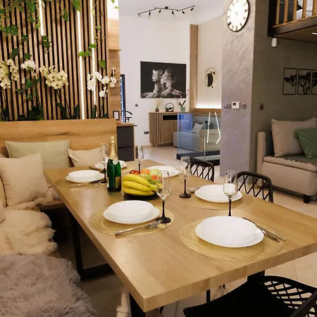 Leo & Private Zone - Old Lejlighed