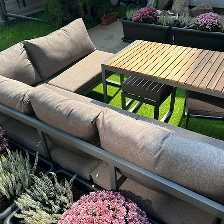 Leo & Private Zone - Old